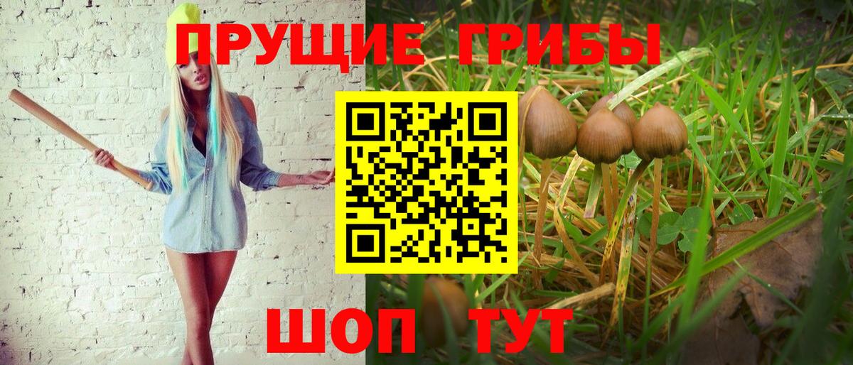 Галлюциногенные грибы Psilocybe  Кыштым  Псилоцибиновые грибы ЛСД 