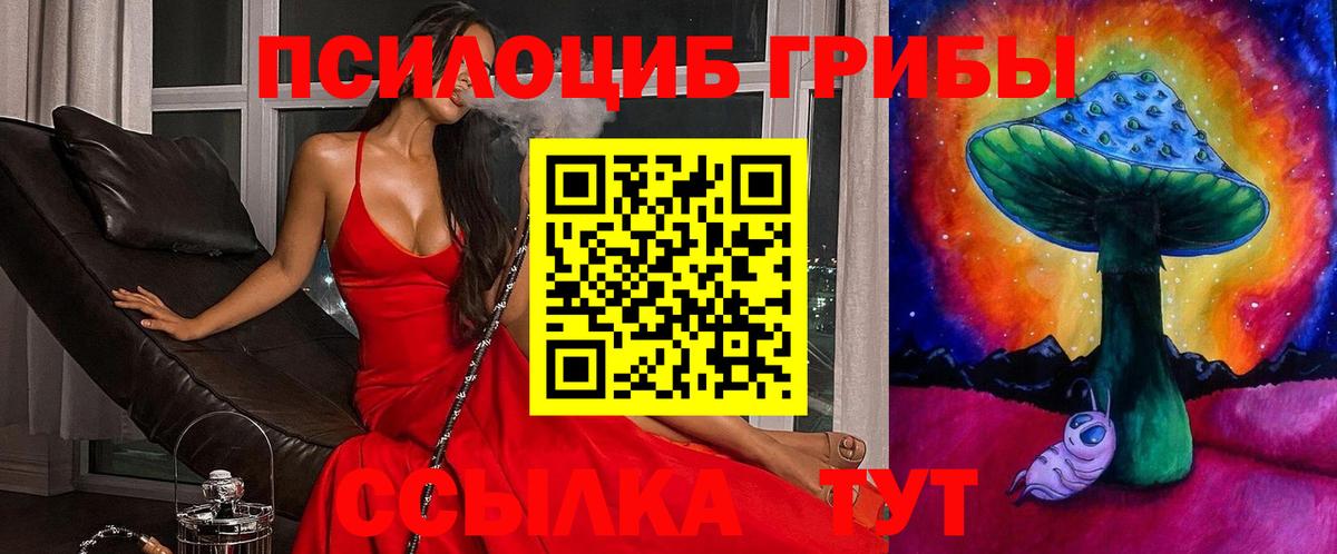 Галлюциногенные грибы прущие грибы  Вход с VPN  Кыштым 