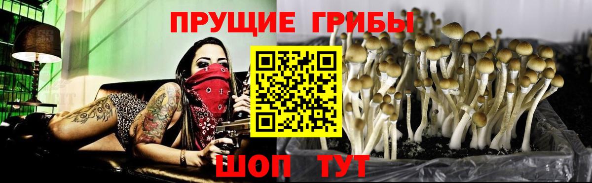 Псилоцибиновые грибы Magic Shrooms Кыштым