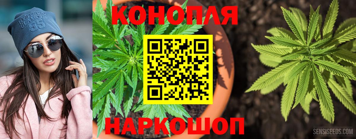 Шишки марихуана Bruce Banner  Шишки марихуана гибрид  Бошки Шишки VHQ  Шишки марихуана VHQ  Кыштым 